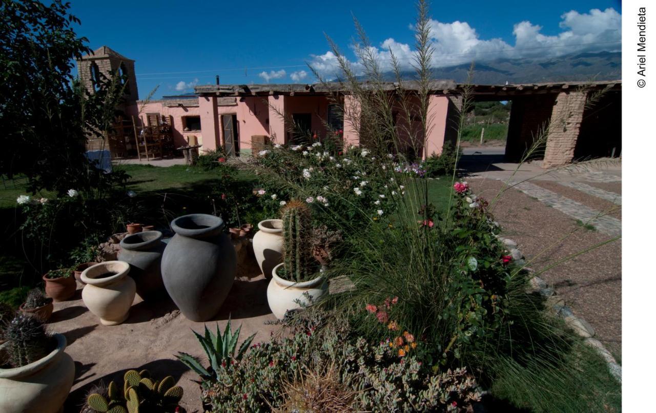 Finca Huayrapuca Famatina Ngoại thất bức ảnh